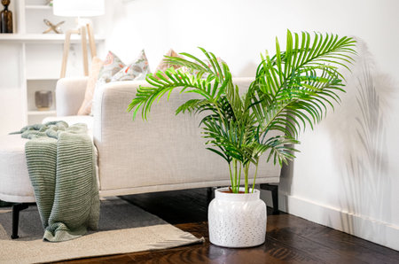 Home interior decor, interior of modern living room. Stylish house, apartment decoration.の写真素材