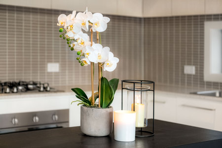 Home interior decor, interior of modern kitchen. Stylish house, apartment decoration.の写真素材