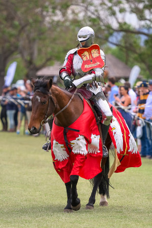 Knight jousting. Medieval knights during a jousting tournament. Knights competition.の写真素材