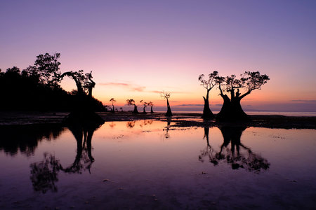 Magical sky at Walakiri Beach, East Sumba, Indonesiaの写真素材