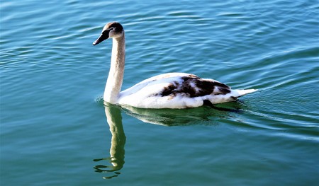 Heusaus Inn Riverの写真素材