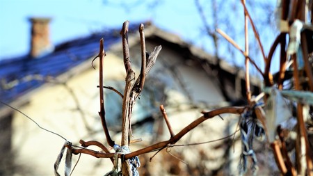 Bulgariq My Vilageの写真素材