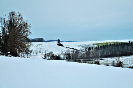 Winter landscape in Bavaria (Germany) with snow-covered fieldsの写真素材