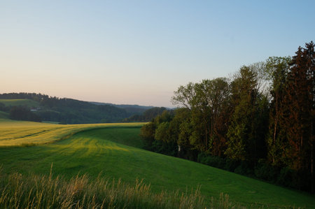 Sunset over a meadow with trees and grass in the foregroundの写真素材