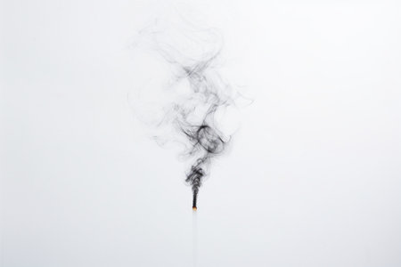 The smoke is coming out of the top of a cigaretteの素材