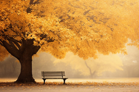 A bench under a tree in a parkの素材