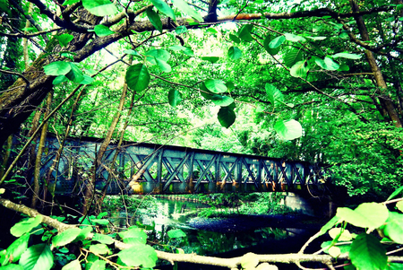 Bridge in normandyの写真素材
