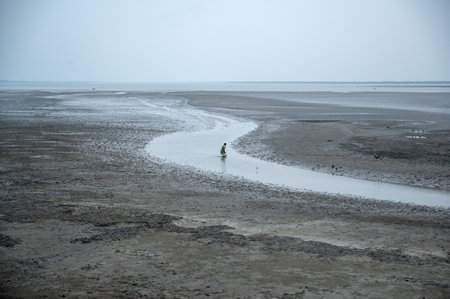 woman is catching fish in the shallow water