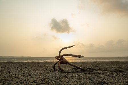 anchor lying in the beach of Bakkhaliの写真素材