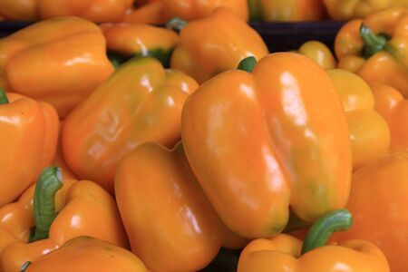 sweet pepper の写真素材