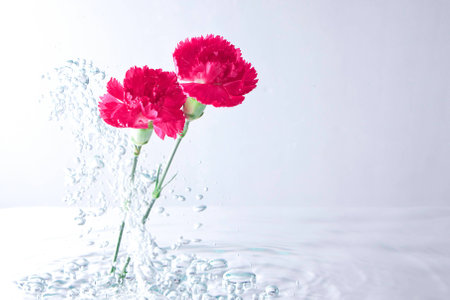 red flower in waterの写真素材