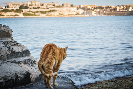 good morning cityの写真素材