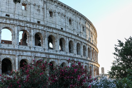 The Flavian amphitheatre, ancient Colosseum, with flowers, Rome, Italyの写真素材