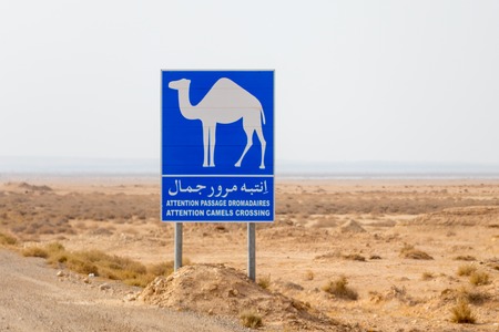 Attention camels crossing road sign in Tunisia, Africaの写真素材