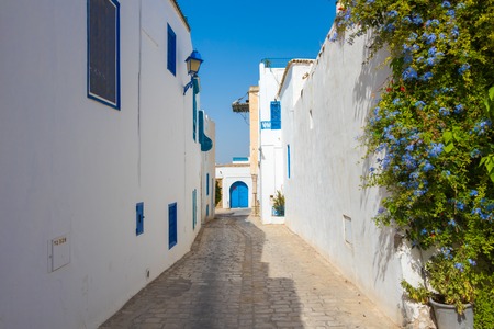 Street in a white-blue town Sidi Bou Said with blue flowers, Tunisia, North Africa