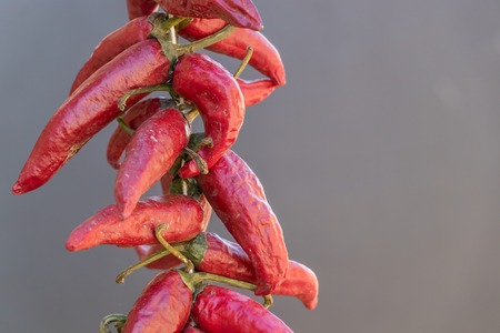 Red dry chili pepper close-up on a grey background, Serbia