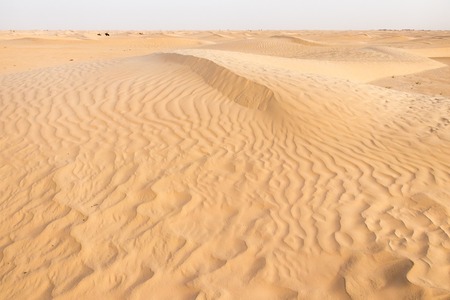 The Tunisian Sahara desert near the city of Douz, Africaの写真素材