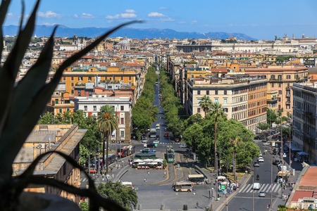 View of Rome from Castel Sant'Angelo, Italy.
