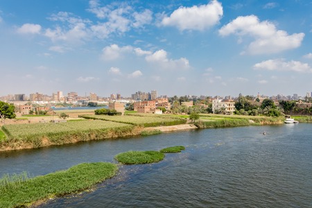 Agriculture in the middle of Cairo city in Egyptの写真素材