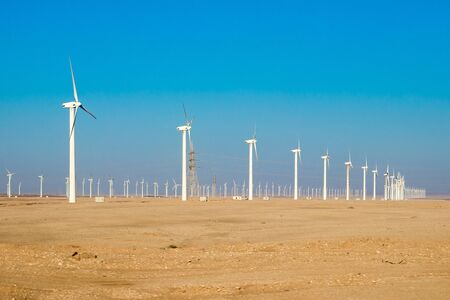 Power generating wind farm in Egyptの写真素材