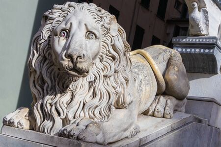 Lion statue at the entrance of the San Lorenzo Cathedral in Genoa, Liguria, Italyの写真素材
