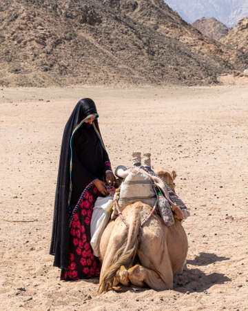 Hurghada, Egypt - October 1, 2020: Camel and a Bedouin woman. Muslim woman wears a black hijab in Egypt. Local people of Africa.のeditorial素材