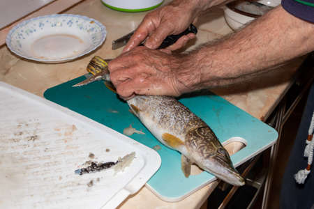 A man hands with a knife cut up fish on cutting board.の写真素材