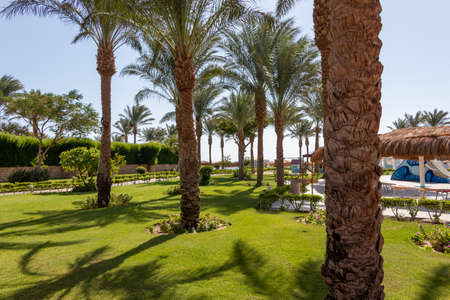 Hurghada, Egypt - September 25 2021: Egyptian garden with palm trees in hotel Caribbean World Resort Soma Bayのeditorial素材