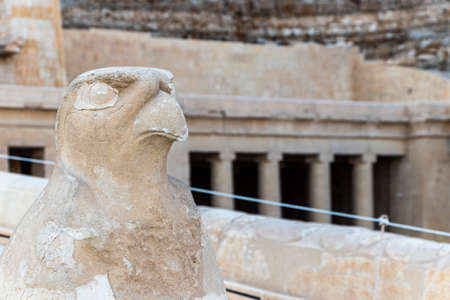The statue of the falcon. The Mortuary Temple of Hatshepsut, is located on the west bank of the Nile...