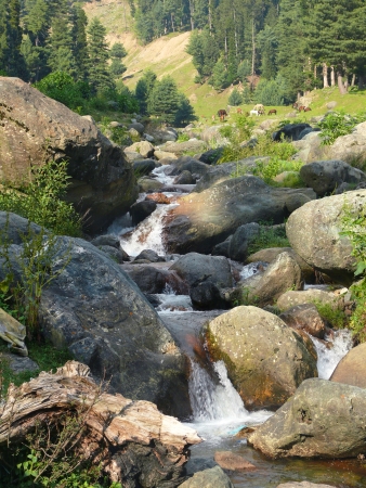 mountain streamの写真素材