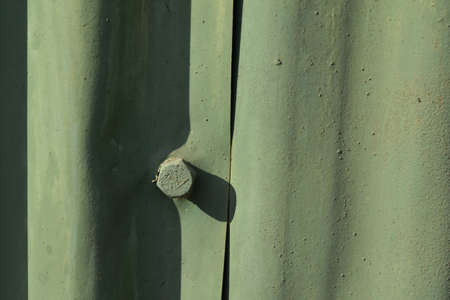  green nut on an old green garage door on a summer afternoonの写真素材
