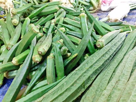 Zucchini, okra, and other fresh vegetables, are available, in the food market, Thailand in the...