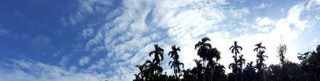 Beautiful photo of nature panorama, with sunlight on the blue sky and white clouds among garden natural area in countryside, Thailand.の写真素材
