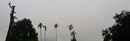 Beautiful photo of nature panorama, with fog on the sky and clouds among garden natural area in countryside, Thailand.の写真素材
