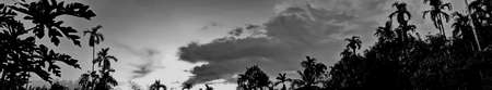 Beautiful vintage photo concept of panorama nature, with sunset on the sky and clouds among forest...