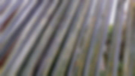 Dried coconut leaves, with surface and texture of coconuts leave dry, blurred texture for background...