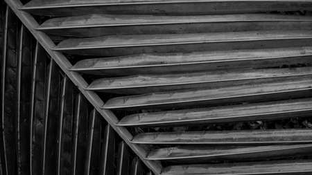 Black and white close-up of tropical, concept texture coconut leaves, abstract black, vintage image nature texture for background concept.の写真素材