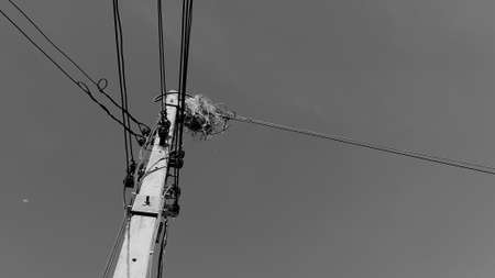 A blackbird, a wild animal, builds nests on the wires, of high voltage poles in rural roads in Thailand on dark sky and cloudy day in May, vintage image concept.の写真素材