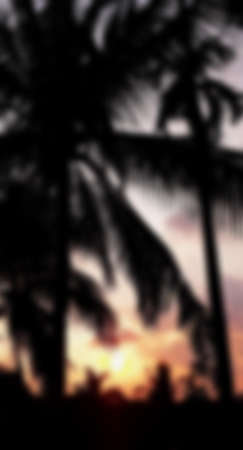 Scenery betel and coconut tree, the evening with a silhouette of betel nut trees and sunset orange sky, gray clouds, blur image vertical concept.の写真素材