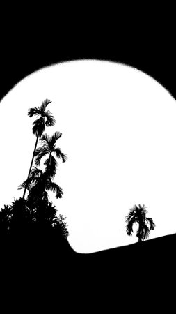 silhouette black-white illustration photo vertically designed. View top loof house white cloud, with nature landscape betel trees.の写真素材