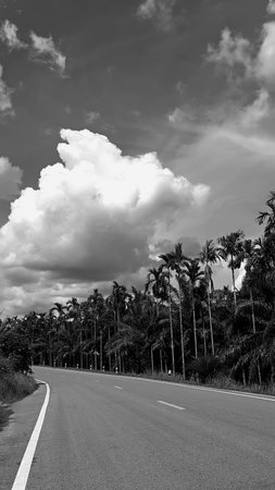 Landscape, vertical picture, white cloud vintage sky roadside, with daylight overhead view high...