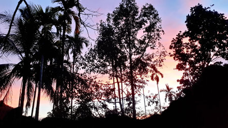Create beauty of landscape saw mountains, betel palm coconut trees, with blue sky mix golden orange. the natural atmosphere evening is bright and charming in the countryside.の写真素材