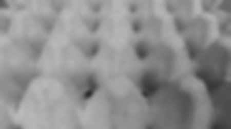 abstract blurred background texture, black and white panel eggs paper image, with macro artistic...