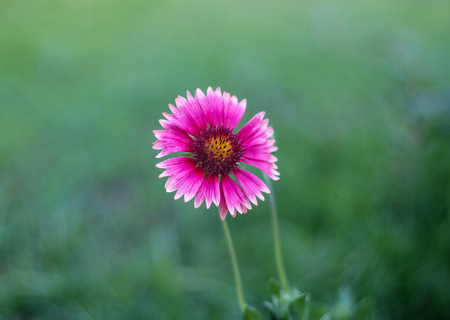 BEING MEの写真素材