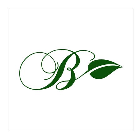 Leaf letter logo Bのイラスト素材