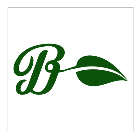 logo dan vector daun   huruf bのイラスト素材