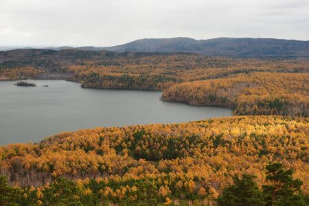 autumn forest on the lakesideの写真素材