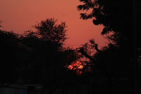 A beautiful sunset with a warm summer sky, golden colors that are rich and vividの写真素材