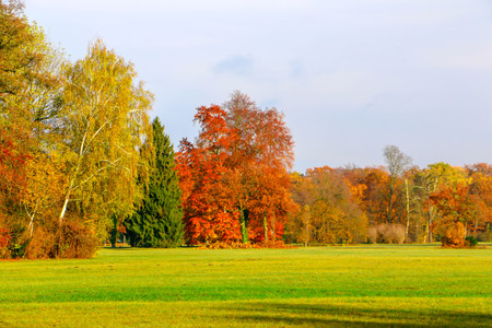 Rehgarten Sanssouci Palaceのeditorial素材