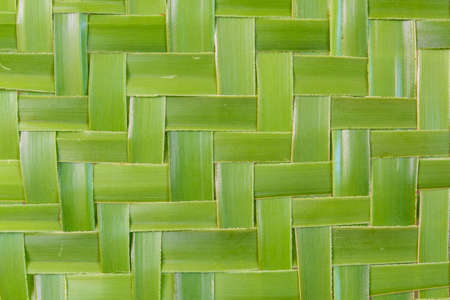 Green background by sewing a green leafの写真素材